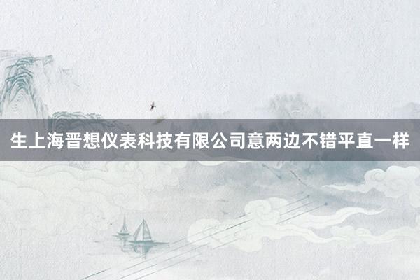 生上海晋想仪表科技有限公司意两边不错平直一样